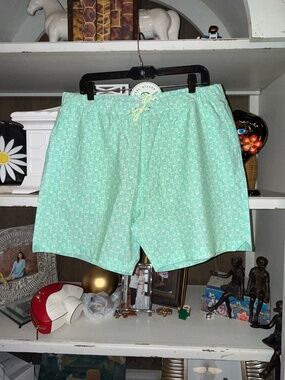 Criquet mens XXL mint green geometric swim trunks drawstring elastic